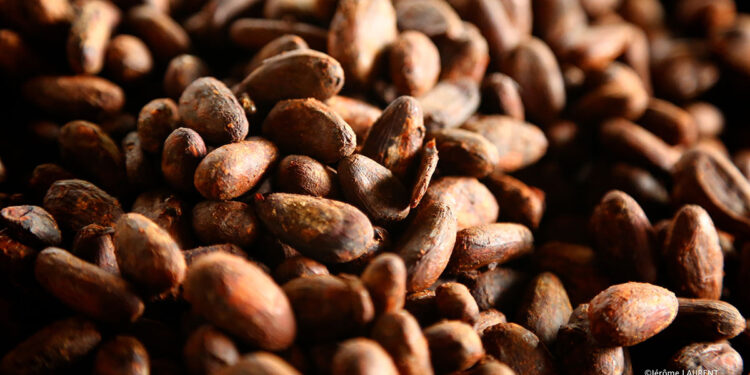 Claudio Corallo chocolate